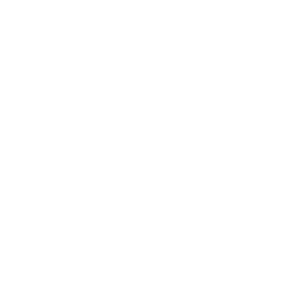 園での生活